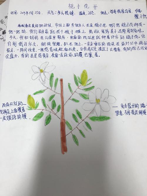 自然知识文章一章-自然知识文章一章多少字