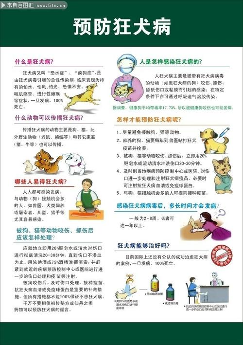 狂犬病预防知识文章标题-狂犬病预防知识文章标题怎么写