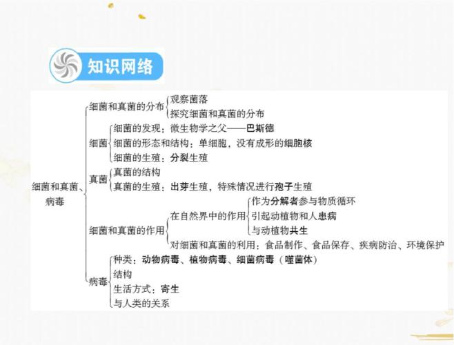 细菌和病毒文章知识点-细菌和病毒文章知识点总结